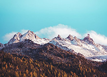 吉林男篮与辽宁队达成球员互换 姜宇星“一换二”